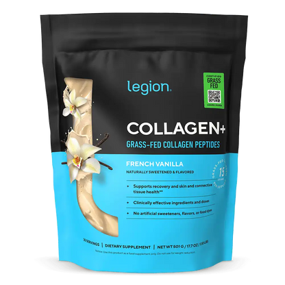Collagen+ - Dutch Chocolate